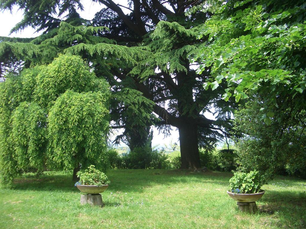 Villa Tenuta Montegrande 1893 à San Salvatore Monferrato Extérieur photo